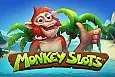 Monkey Slots