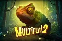 MultiFly!