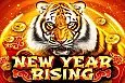 New Year Rising