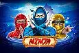 Ninja's Garden