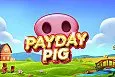 Payday Pig