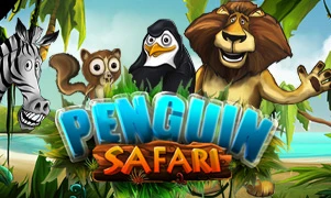 Penguin Safari