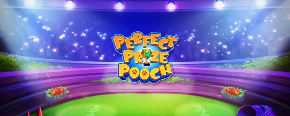 Perfect Prize Pooch