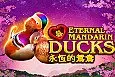 Power Prizes Eternal Mandarin Ducks