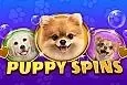 Puppy Spins