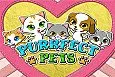 Purrfect Potions