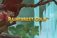 Rainforest Magic Bingo