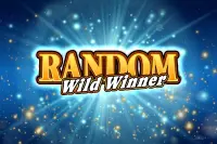 Random Wild Winner