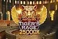Rome Fight for Gold the Tiger's Rage