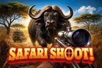 Safari