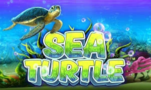 Sea Turtle™