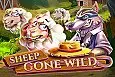 Sheep Gone Wild