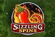 Sizzling Spins