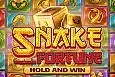 Snake Fortune Hold and Win