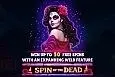 Spin Of The Dead