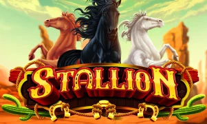 Stallion