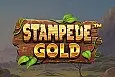 Stampede Gold