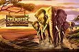 Stampede