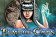 Temple Cats
