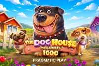 The Dog House Dice Show