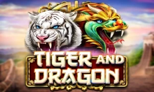 Tiger and Dragon