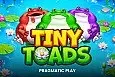 Tiny Toads
