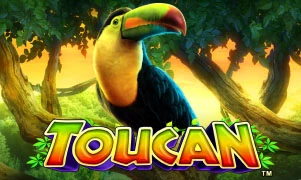 Toucan