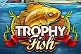 Trophy Fish