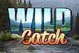 Wild Catch 2020