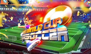 Wild Cup Soccer