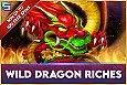 Wild Dragon Riches