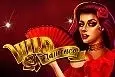 Wild Flamenco