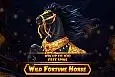 Wild Fortune Horse