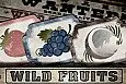 Wild Fruits