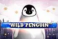 Wild Penguin