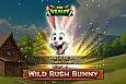 Wild Rush Bunny