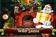 Wild Santa