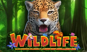 Wildlife