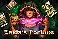 Zaida's Fortune